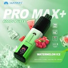 Hayati Pro Max Plus 6000